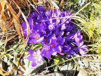 DSCF4590 (2).webp