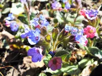 DSCF4593 (2).webp