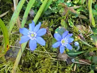 DSCF4594 (2).webp