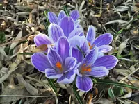 DSCF4597 (2).webp