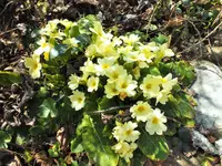 DSCF4600 (2).webp