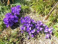 DSCF4602 (2).webp
