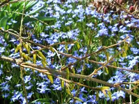 DSCF4609 (2).webp