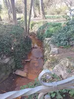 20210401_172730.webp