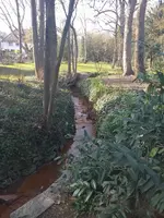 20210401_172738.webp