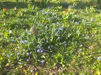 20210401_172856.webp