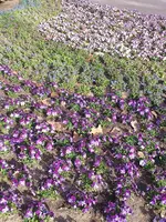 20210401_173244.webp