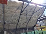 IMG_20210402_113410715.jpg
