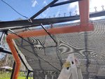 IMG_20210402_113424897.jpg