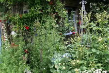 Juni8816h.webp