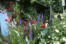 Juni8816xzPG.webp