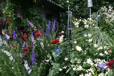 Juni8916zPG.webp