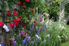 Juni9016aPG.webp