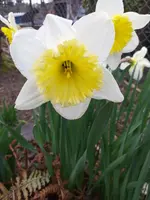 20210328_175507.webp