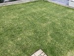 2917C998-C591-4B89-9C85-13703F343D7B.jpeg