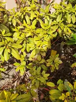 20210402_131851.webp