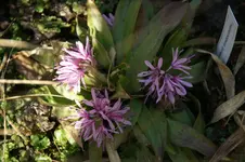 DSC09715.webp