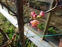DSC01594.webp