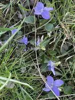 662602E2-085D-4D60-960F-66DA3ACDB2AB.jpeg