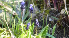 P1270767.webp
