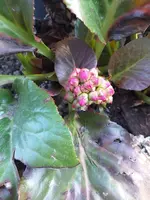 20210402_173456.webp