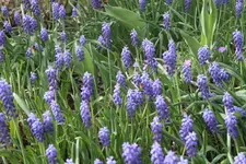 IMG_4796.webp