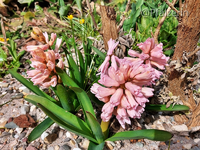 Erste Woche im April 1.webp