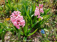 Erste Woche im April 3.webp