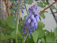 c003.webp