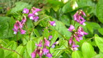 DSCN4490.JPG