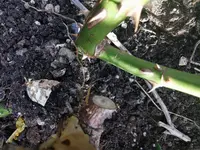 IMG_20210403_180320.webp IMG_20210403_180320.webp