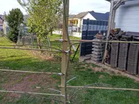 IMG_20210403_172132.webp