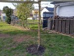 IMG_20210403_172118.jpg