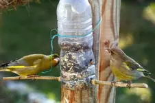 image004.webp