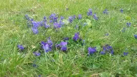 20210403_140732.webp