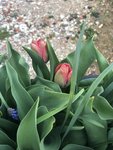 IMG_1646.JPG