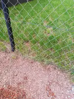 IMG_20210405_082659.webp