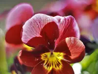 image002.webp
