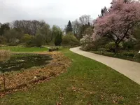 Bot.Garten_001.jpg