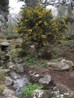 Bot.Garten_023.jpg