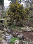 Bot.Garten_023.jpg
