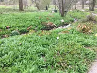 Bot.Garten_025.jpg