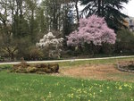 Bot.Garten_030.jpg