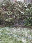 IMG_20210406_110219.jpg