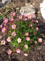 20210406_145409.webp