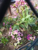 20210406_145553.webp