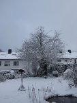 P1030134Hausgarten.JPG