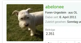 abelonee.webp