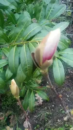 20210407_124902.webp