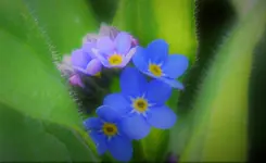 2021blmn11.webp